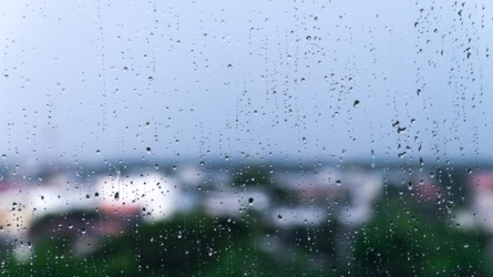 Notícia Relacionada