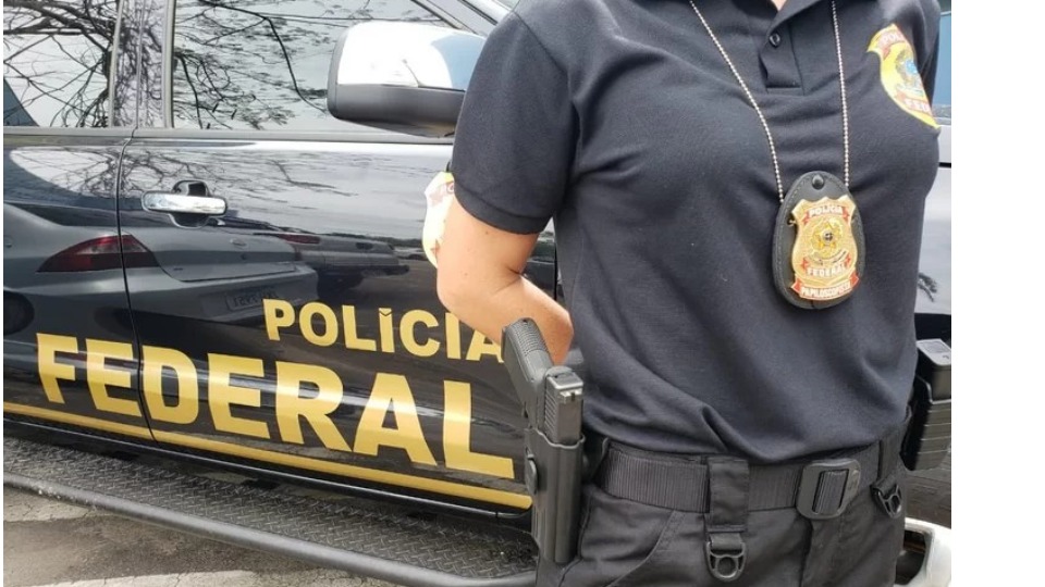 Notícia Relacionada