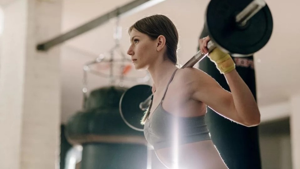 Notícia Relacionada