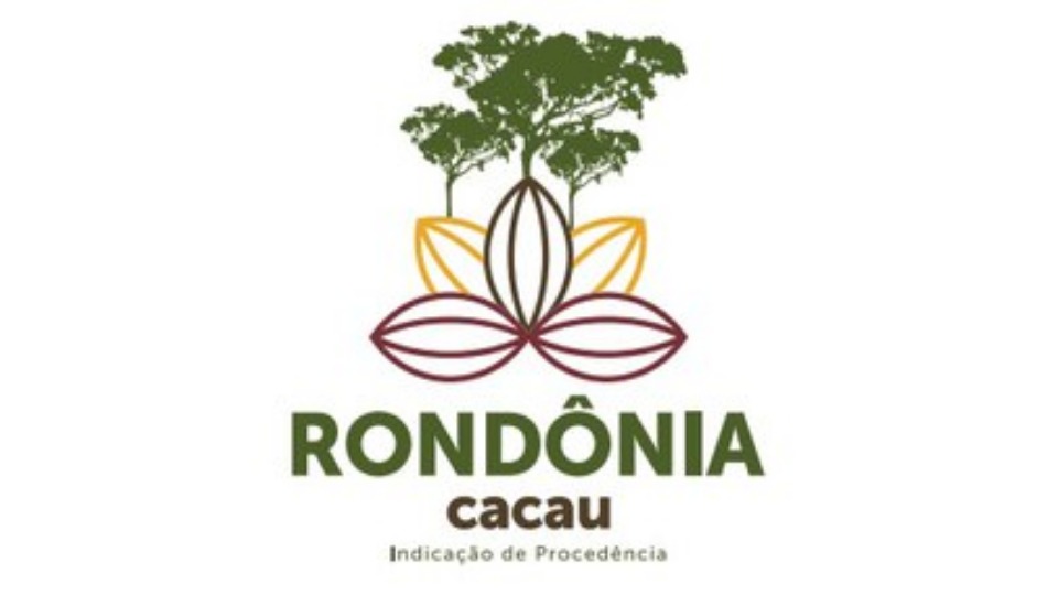 Notícia Relacionada