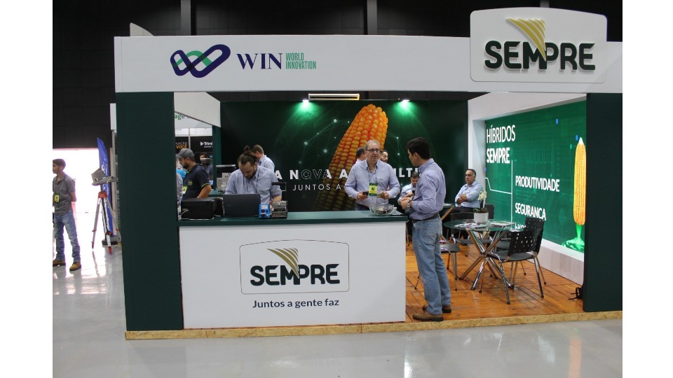 Notícia Relacionada