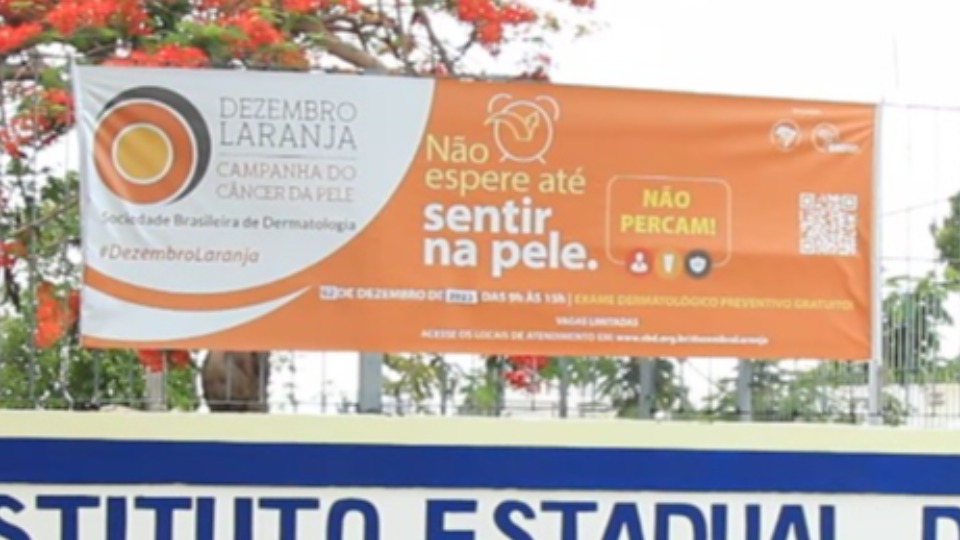Notícia Relacionada