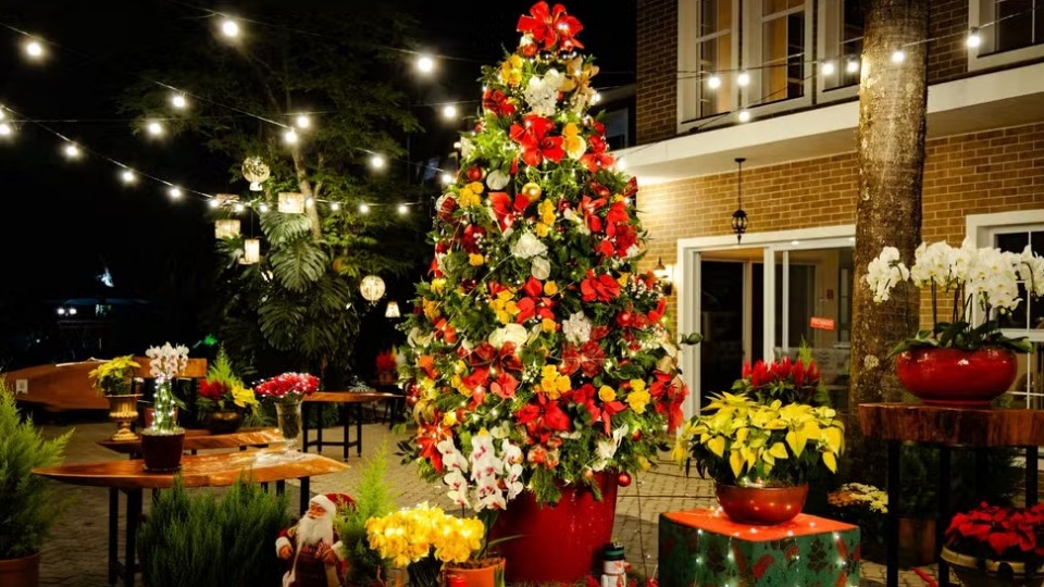 Notícia Relacionada