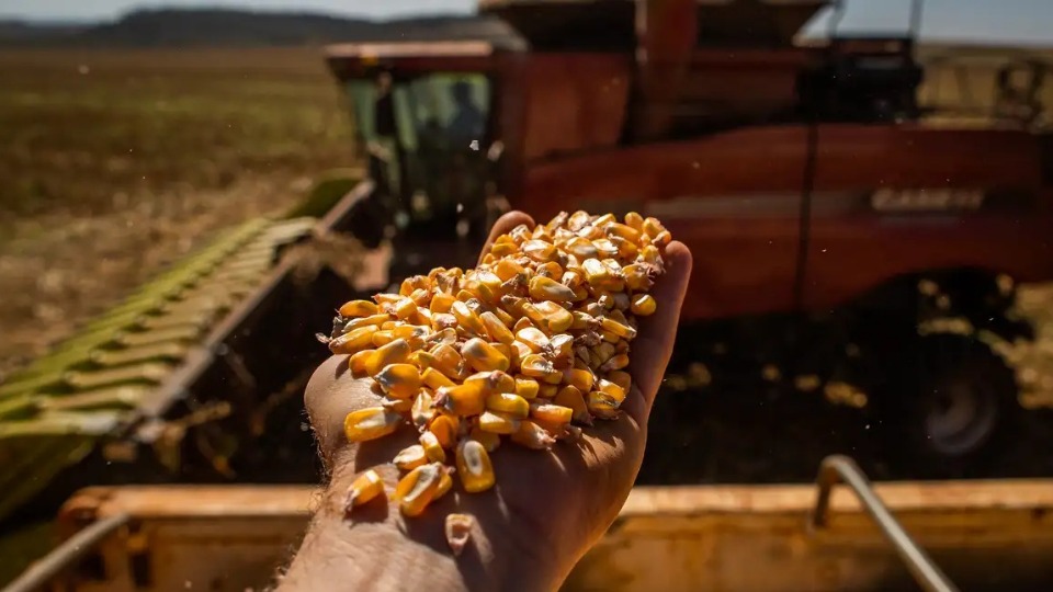 Notícia Relacionada