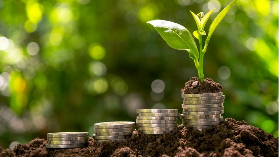 Notícia Relacionada