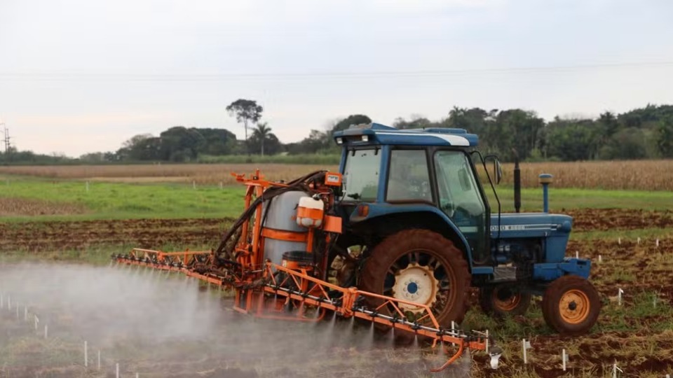 Notícia Relacionada