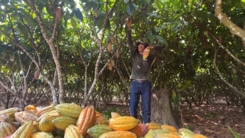 Notícia Relacionada