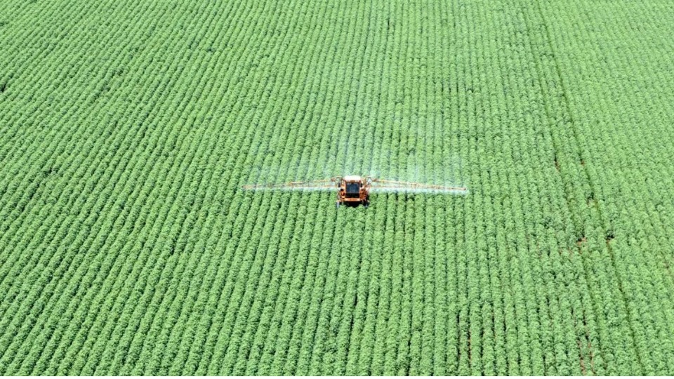 Notícia Relacionada