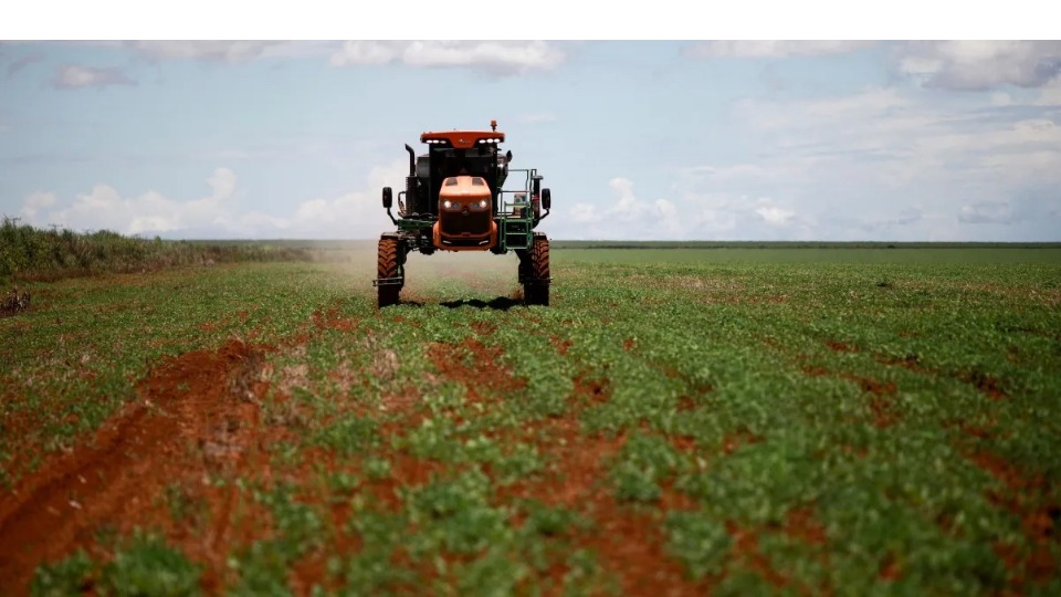 Notícia Relacionada