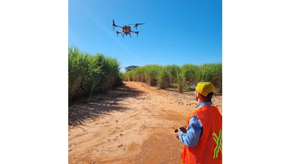 Notícia Relacionada