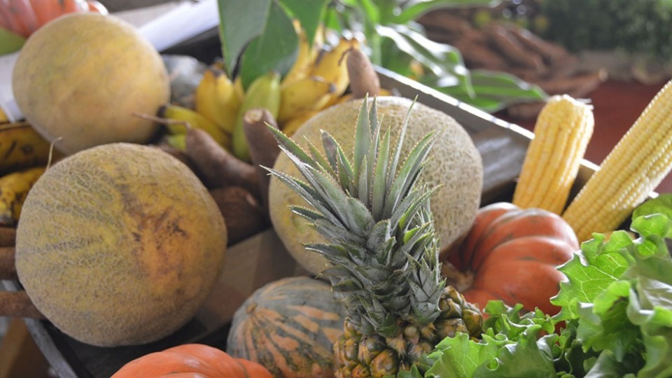 Notícia Relacionada