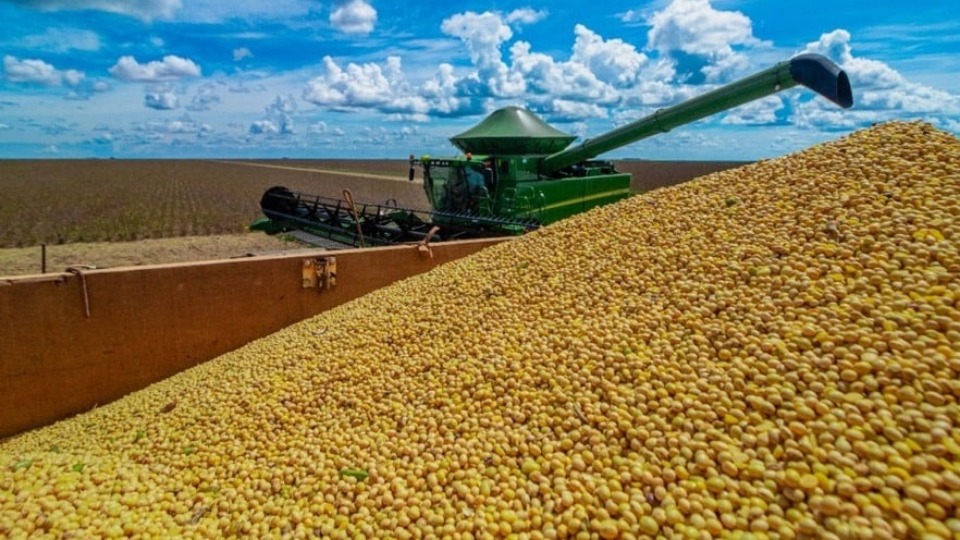 Notícia Relacionada