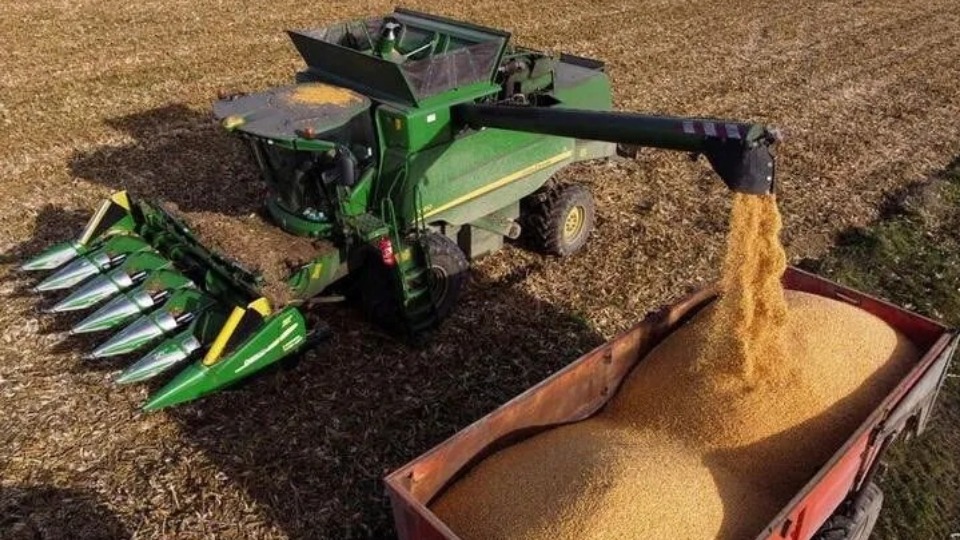 Notícia Relacionada