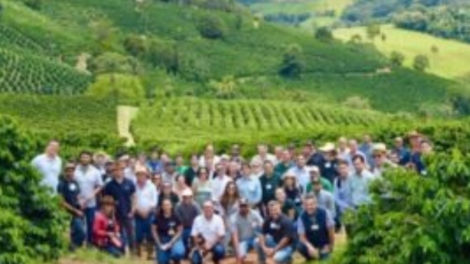 Notícia Relacionada