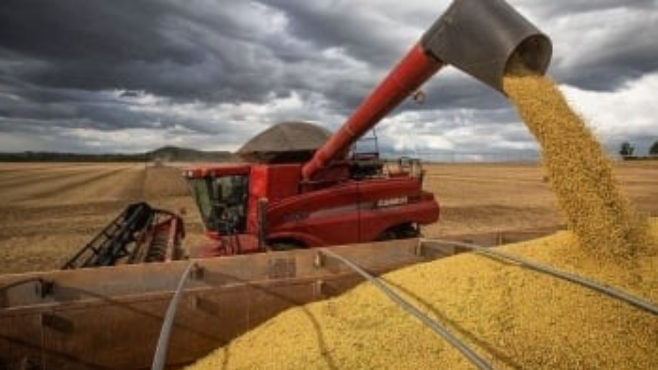 Notícia Relacionada