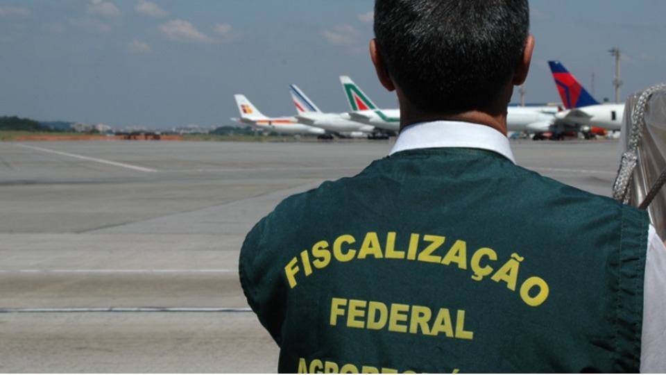 Notícia Relacionada