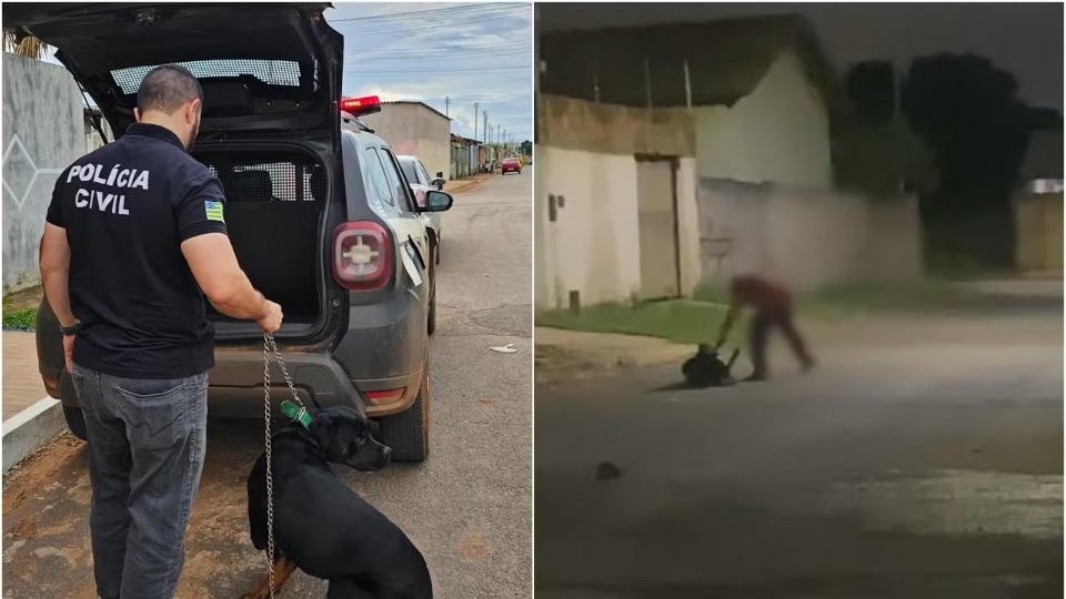 Notícia Relacionada