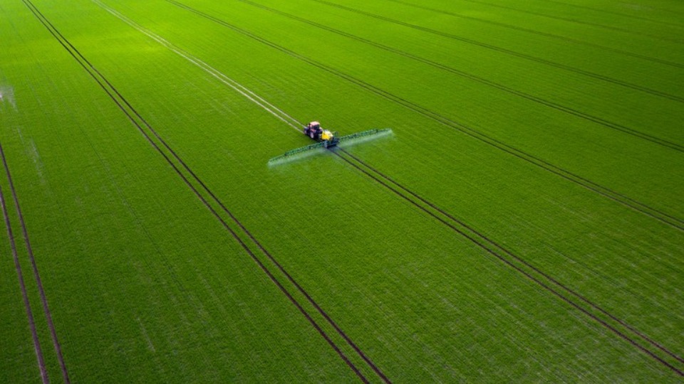 Notícia Relacionada