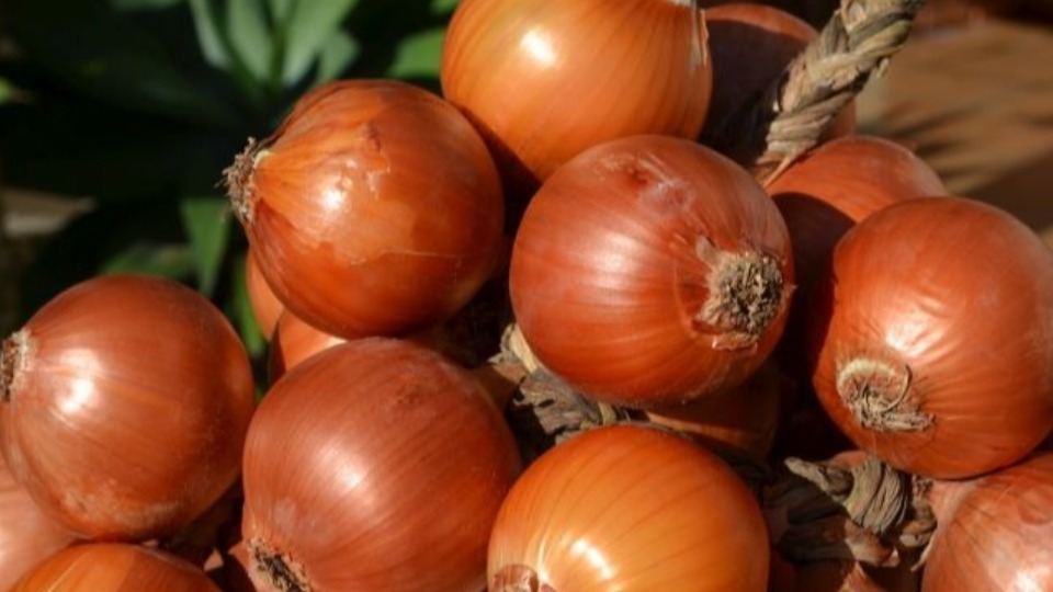 Notícia Relacionada