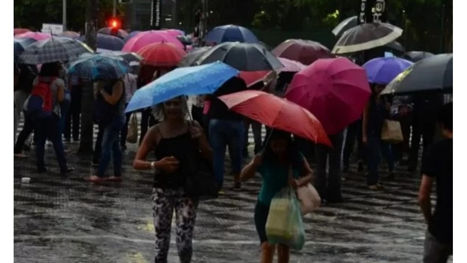 Notícia Relacionada