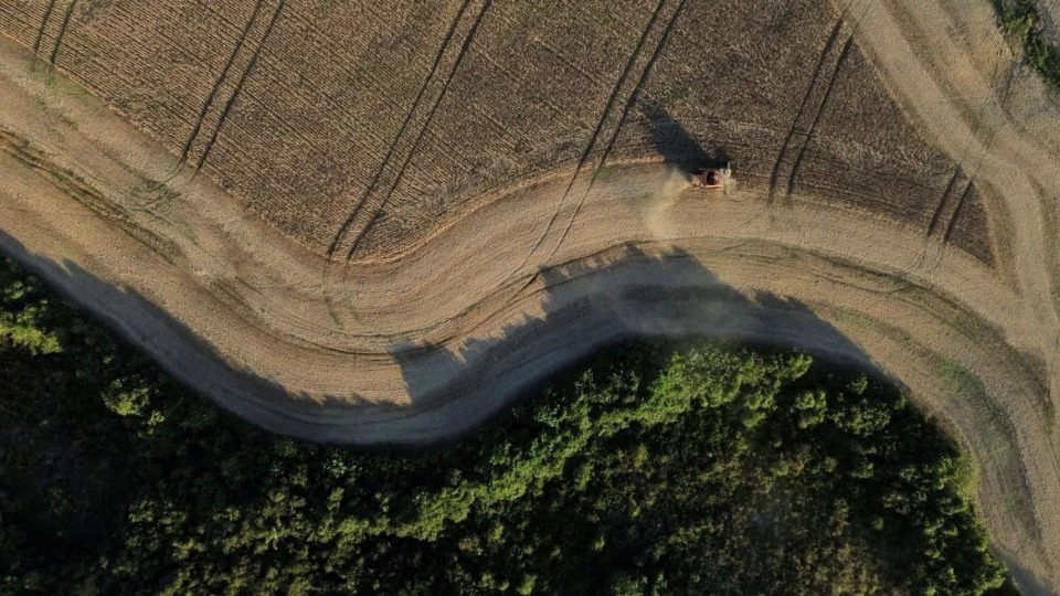 Notícia Relacionada