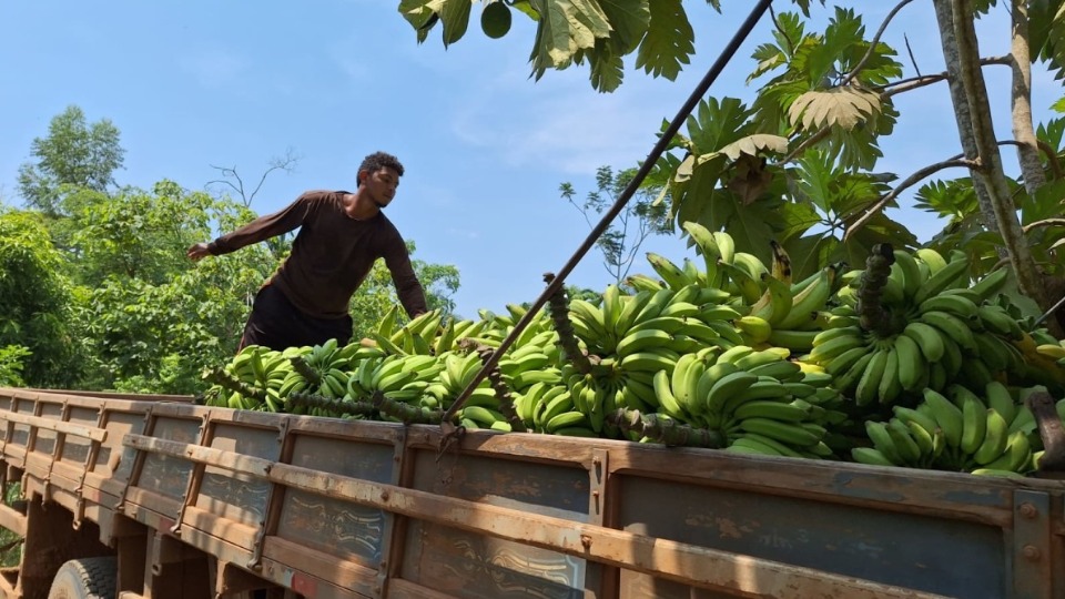 Notícia Relacionada