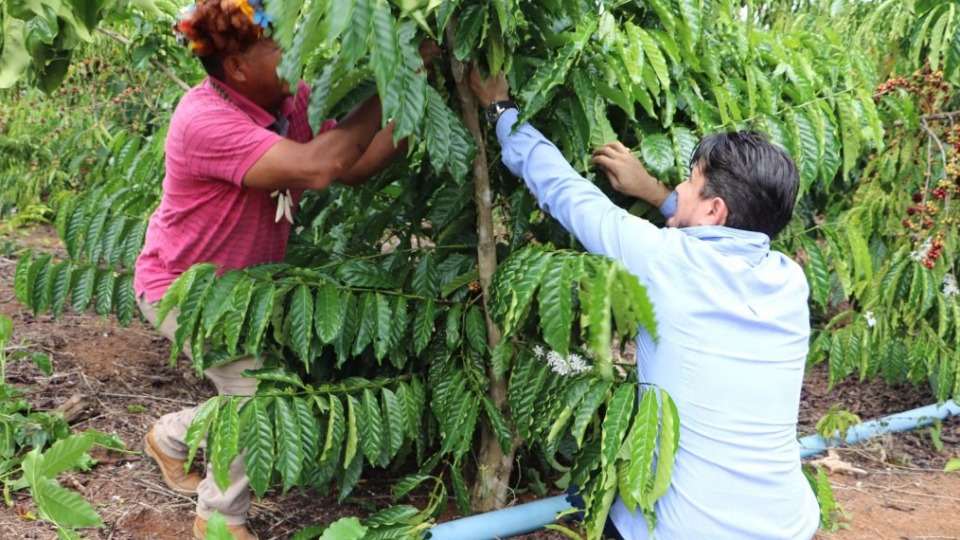 Notícia Relacionada