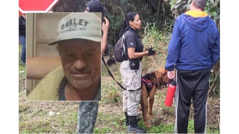 Notícia Relacionada