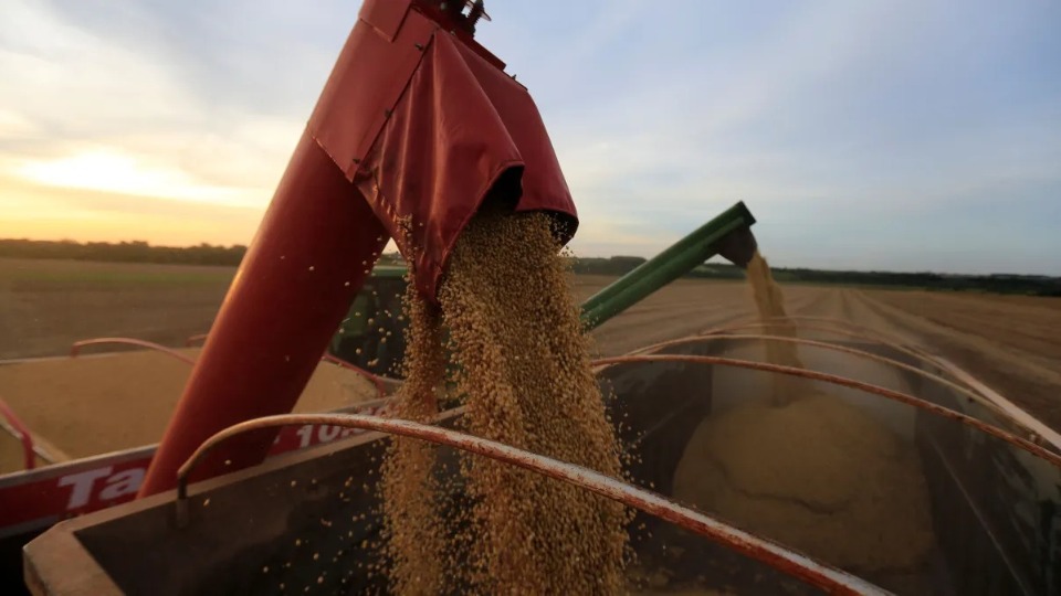 Notícia Relacionada