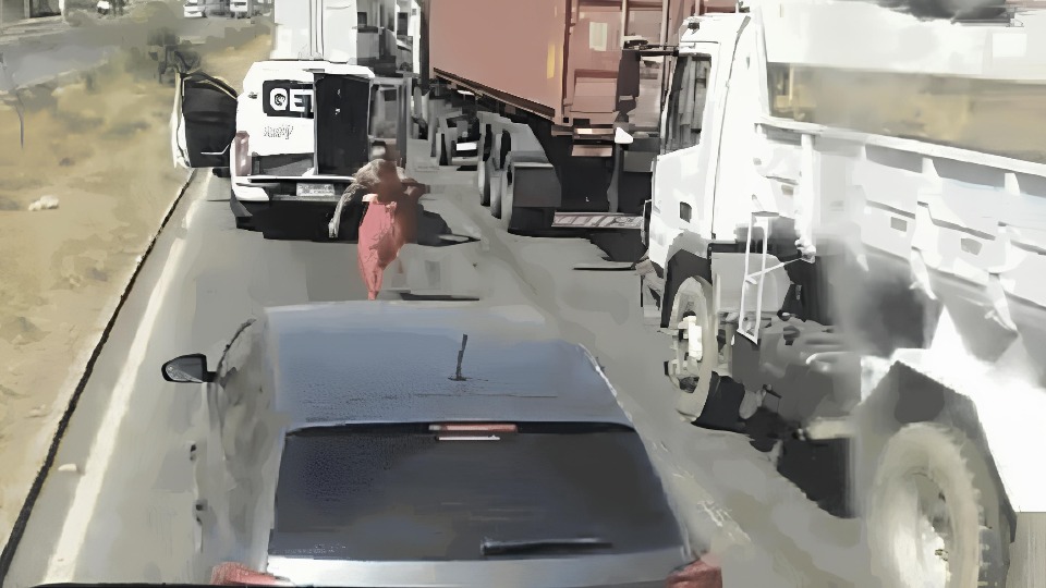 Notícia Relacionada