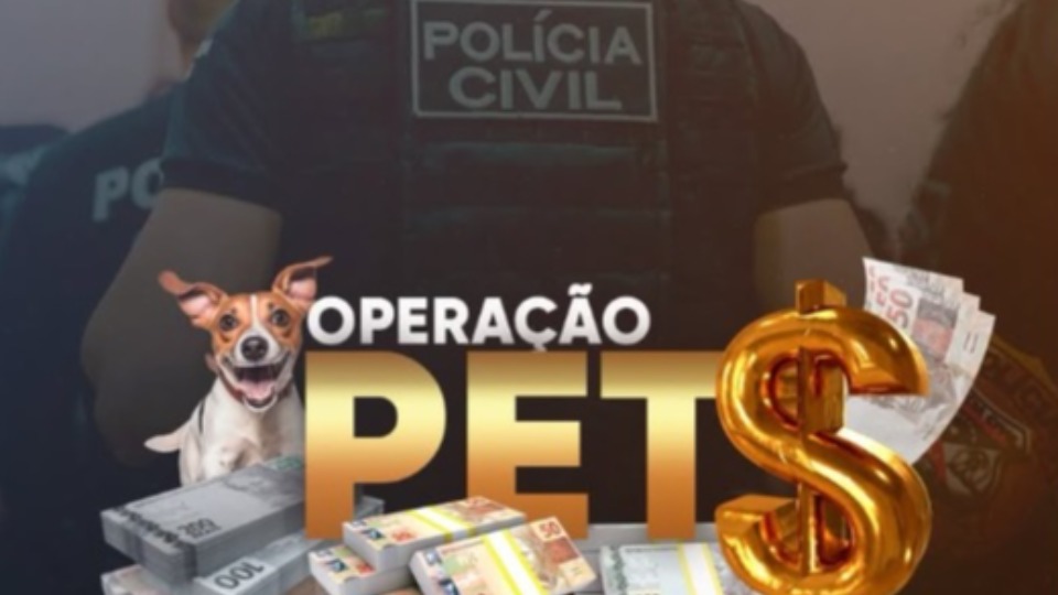 Notícia Relacionada