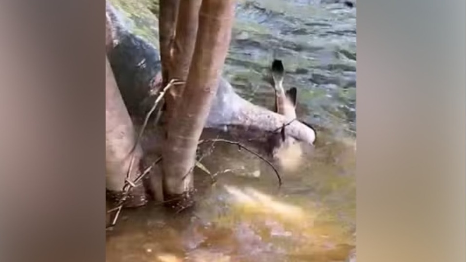 Imagem Últimas Notícias