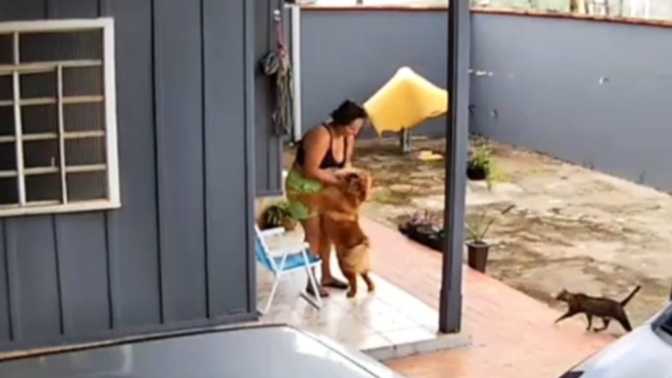 Imagem Últimas Notícias
