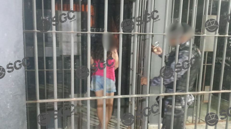 Imagem da Galeria