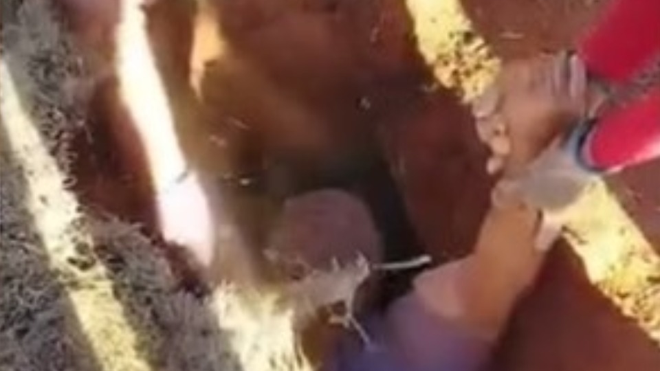 Imagem Últimas Notícias