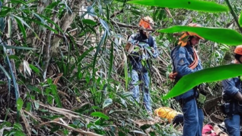 Imagem Editoria