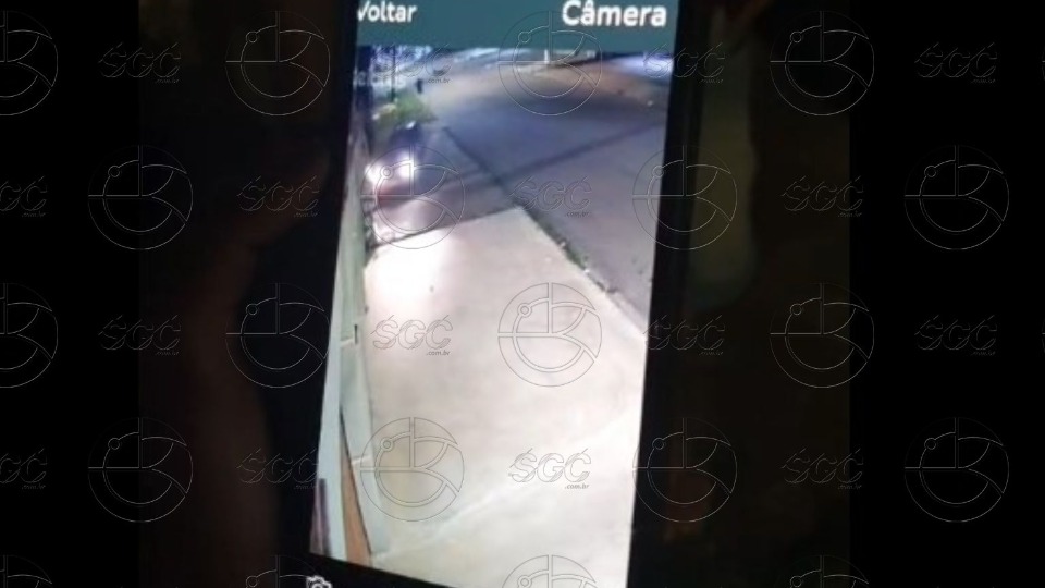 Notícia Relacionada