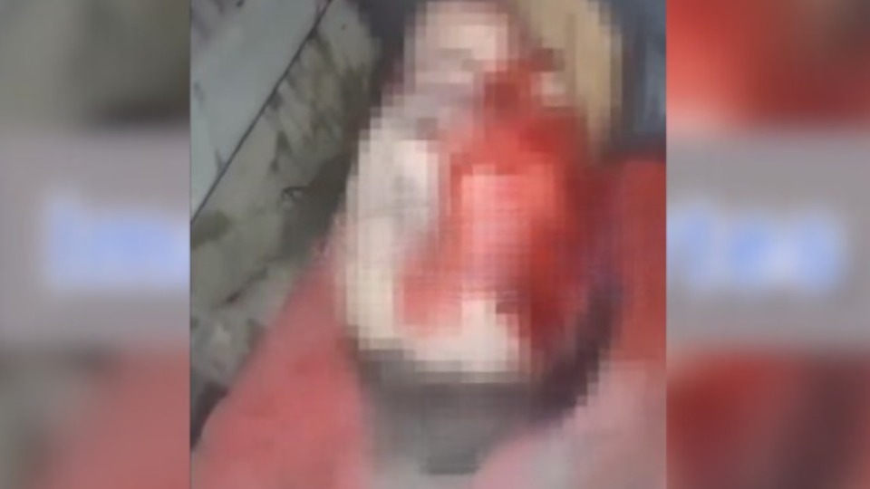 Imagem Últimas Notícias