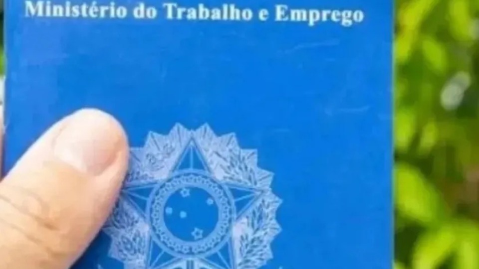 Notícia Relacionada