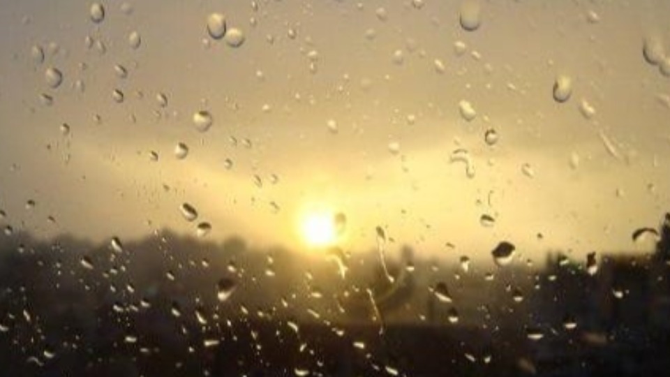 Notícia Relacionada