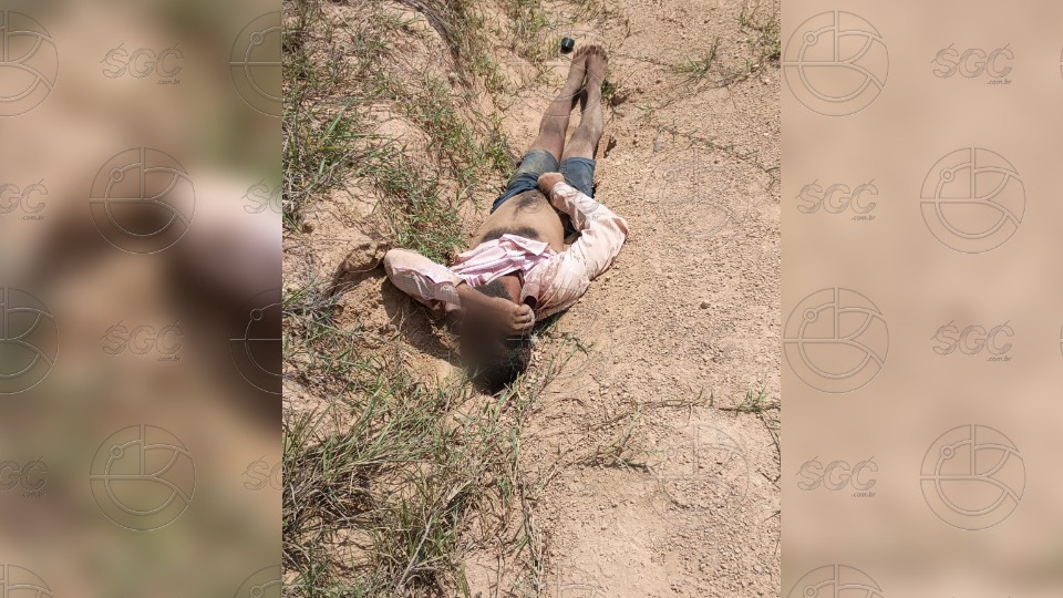 Notícia Relacionada