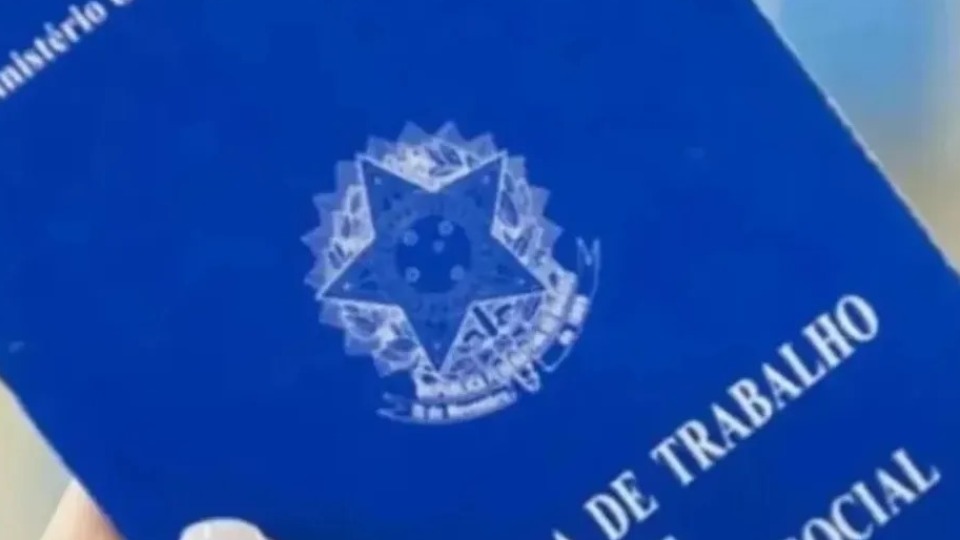 Notícia Relacionada