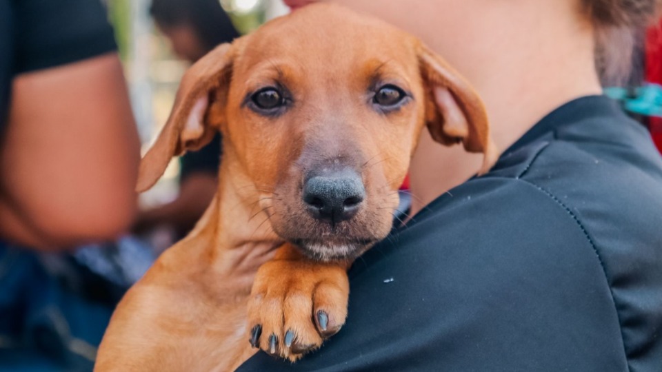 Imagem Últimas Notícias