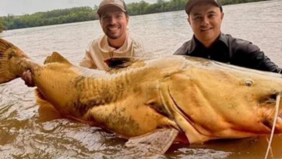 Imagem Últimas Notícias