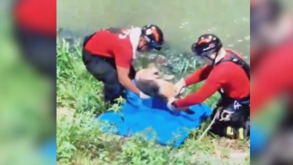 Imagem Últimas Notícias