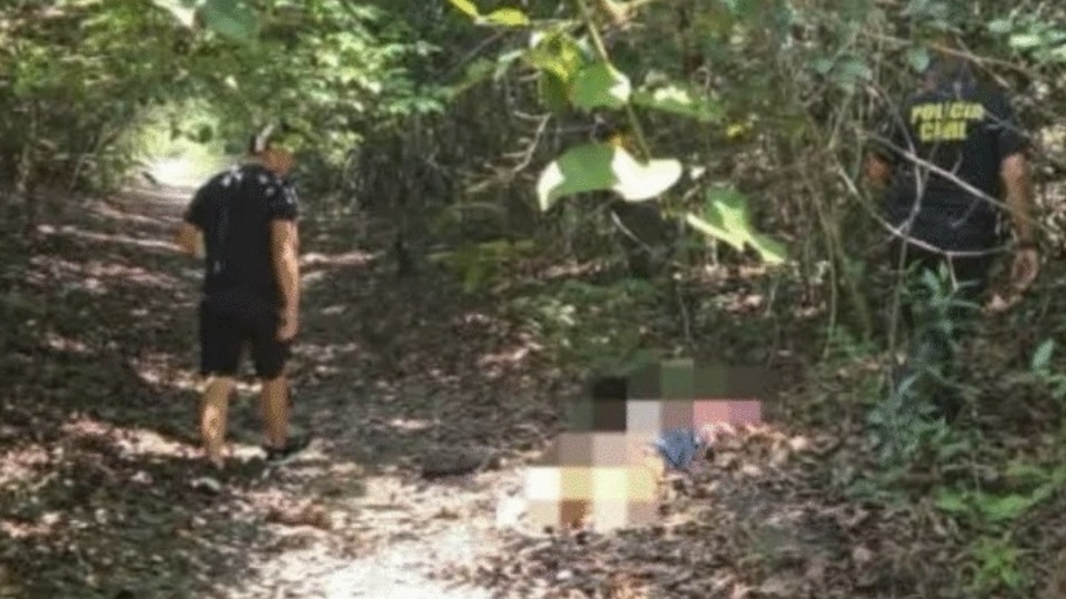 Imagem Últimas Notícias