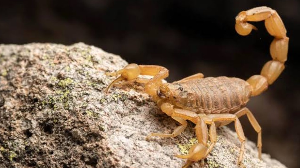 Imagem Últimas Notícias