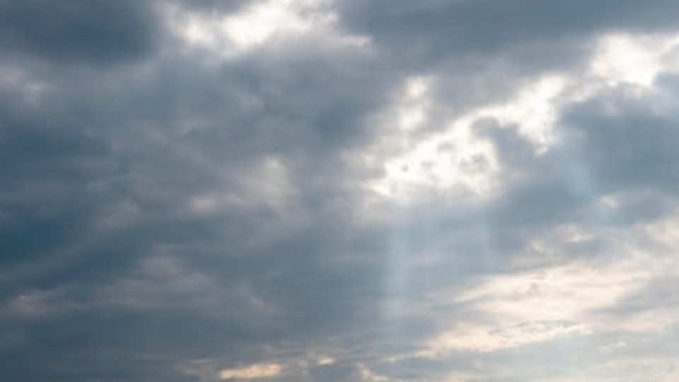 Notícia Relacionada