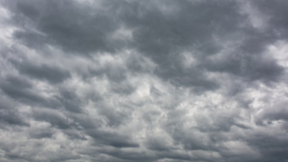 Notícia Relacionada