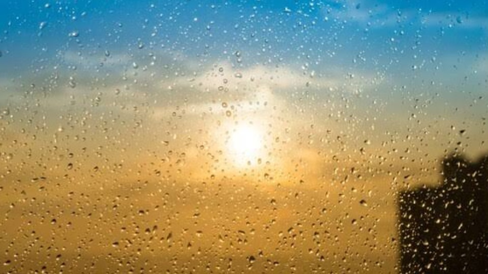 Notícia Relacionada